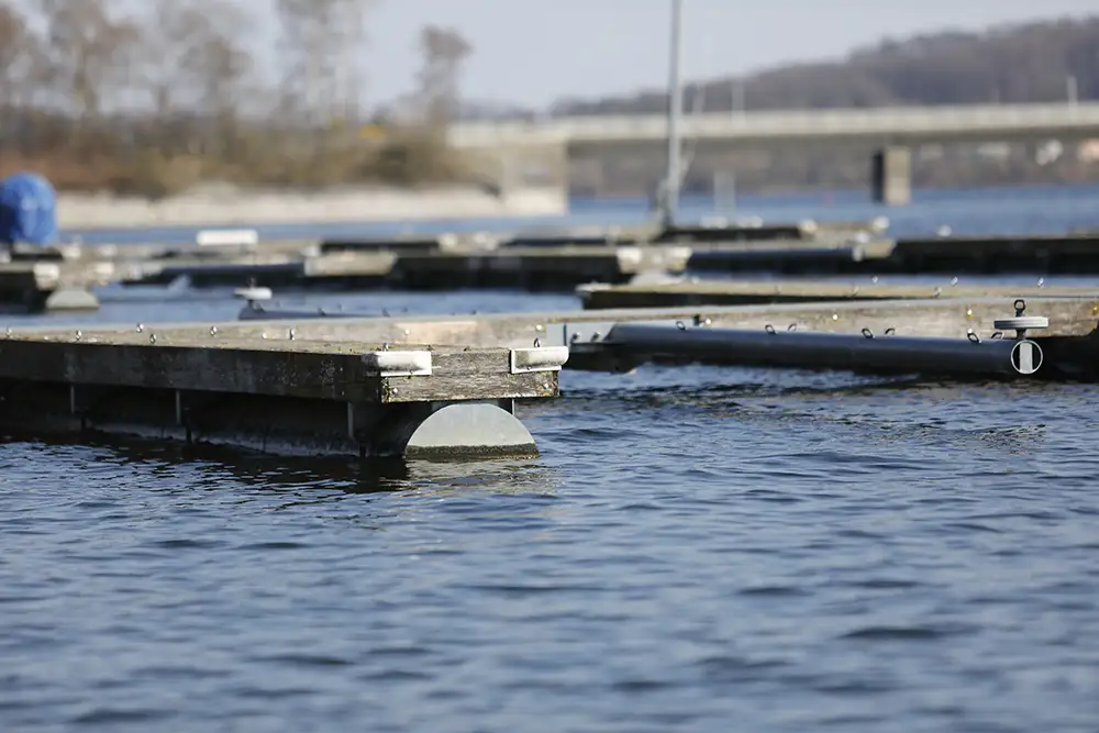 YCWA-Arbeitsdienst-2026